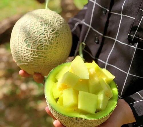 娱乐吃瓜切,揭秘明星幕后故事